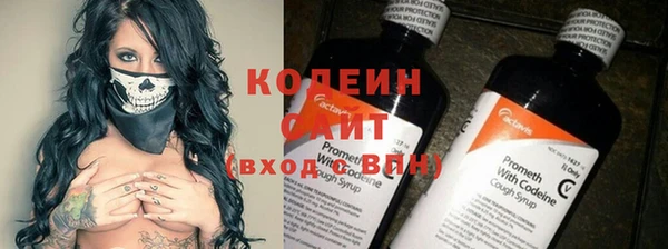 гидра Арсеньев