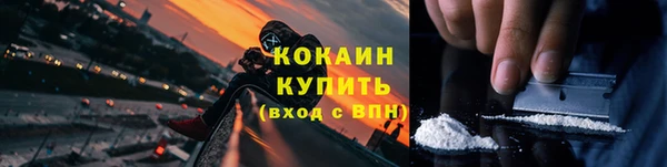 гидра Арсеньев