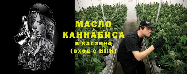 гидра Арсеньев