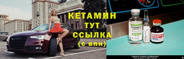 гидра Арсеньев