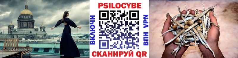 Псилоцибиновые грибы Cubensis  Саянск 