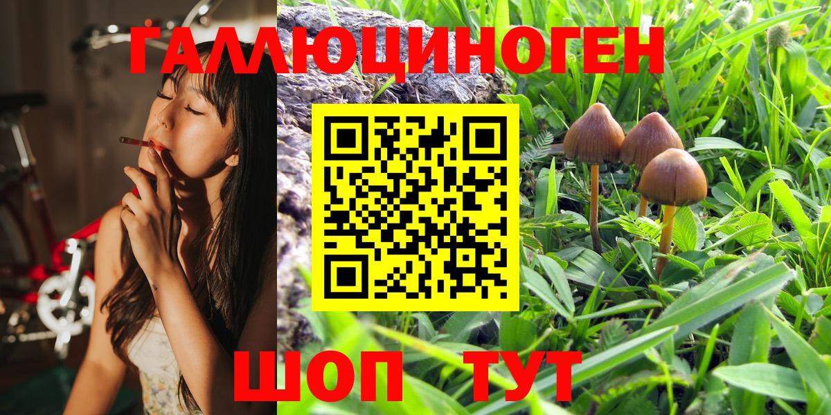 Галлюциногенные грибы Magic Shrooms  Вход с VPN  Саянск 