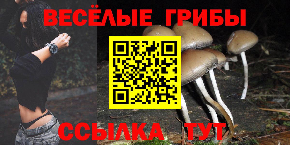 Псилоцибиновые грибы GOLDEN TEACHER Саянск