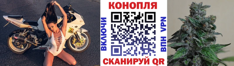 Конопля Amnesia  Саянск 
